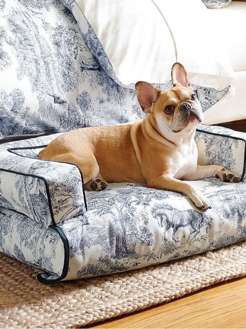 Pottery barn 3 in 1 bed for XS